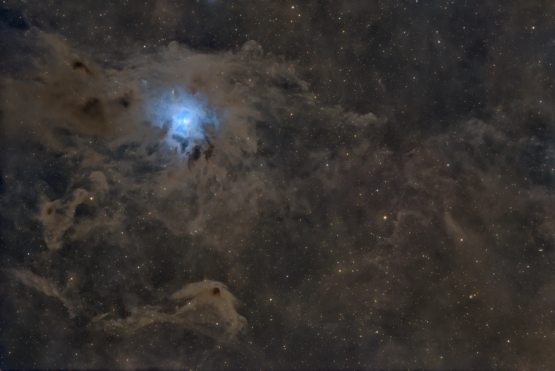 NGC 7023 Iris Nebula