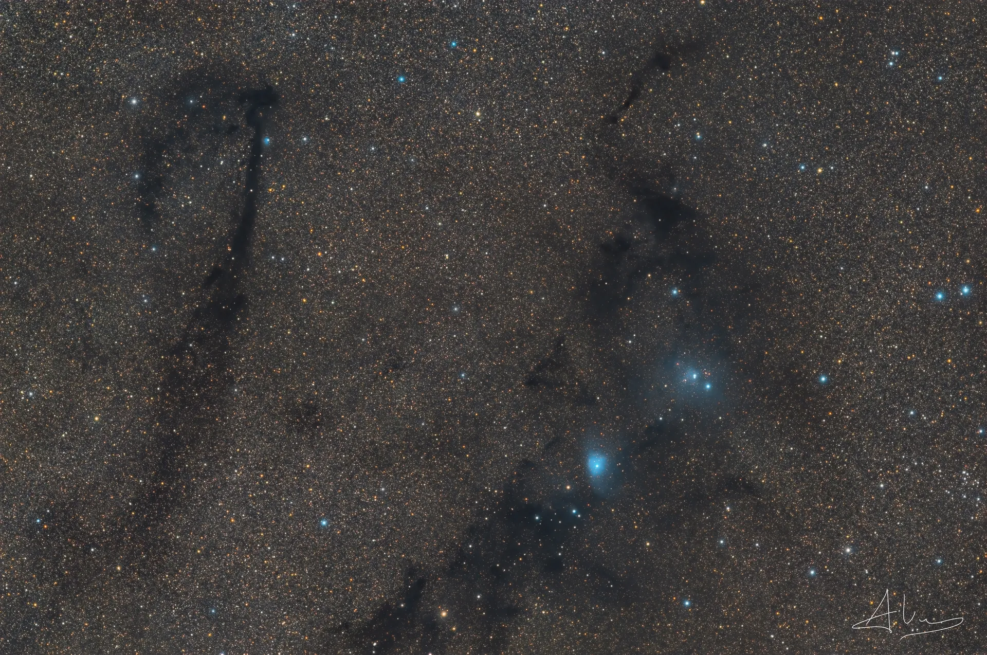 LDN 772 The Lock Ness Nebula