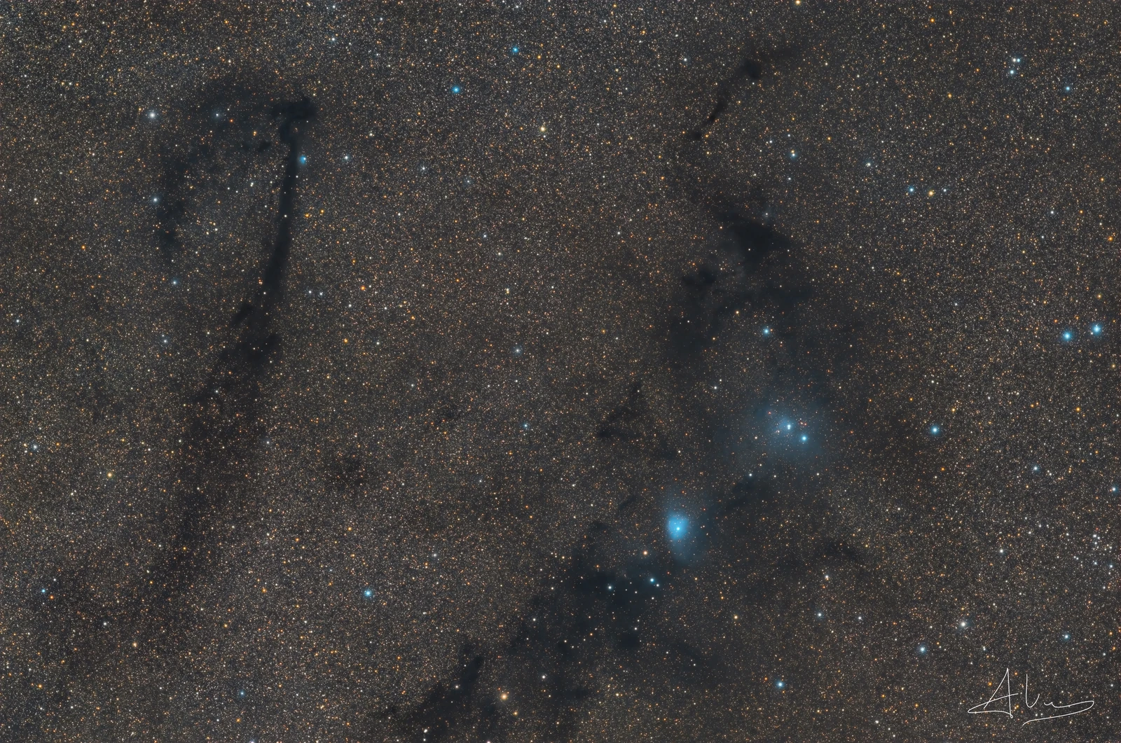 LDN 772 The Lock Ness Nebula