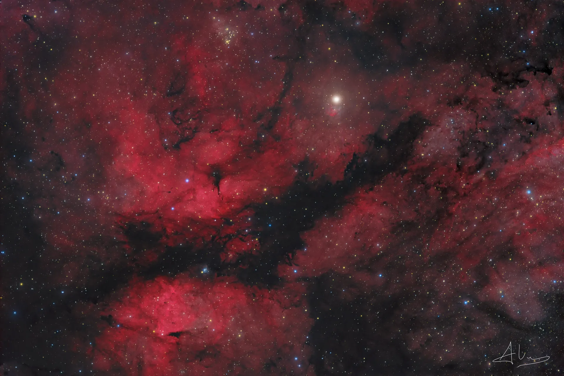 IC 1318 & Sadr region