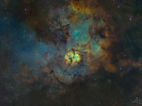 Sh-2 124 The Hidden Nebula