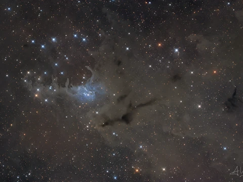 VdB 4 & Sail Boat Cluster